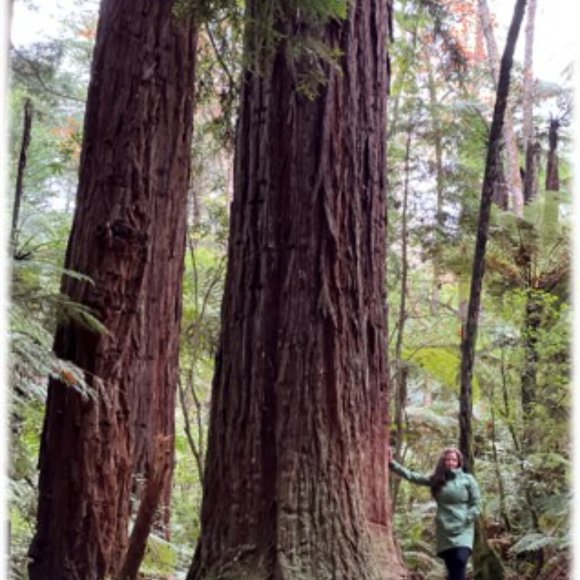 Meet House of Visocchi - Picture 7 of 7